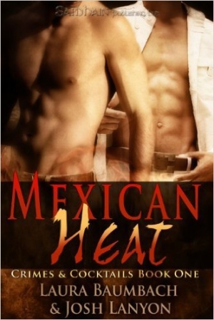 обложка книги Mexican Heat  - Laura Baumbach