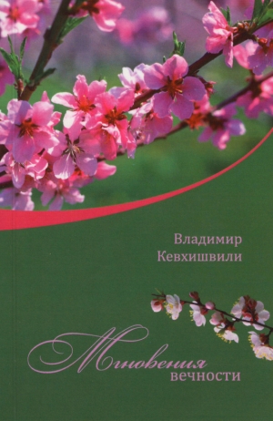 обложка книги Мгновения Вечности - Владимир Кевхишвили