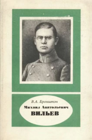 обложка книги Михаил Анатольевич Вильев (1893-1919) - Виталий Бронштэн