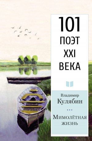 обложка книги Мимолётная жизнь - Владимир Кулябин