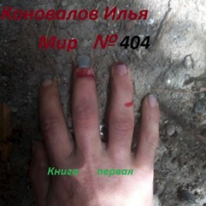обложка книги Мир № 404 (СИ) - Илья Коновалов