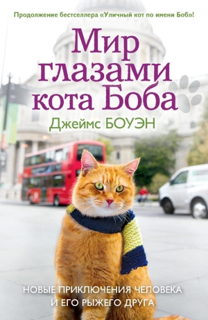обложка книги Мир глазами кота Боба. Новые приключения человека и его рыжего друга - Джеймс Боуэн