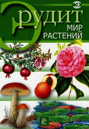обложка книги Мир растений - авторов Коллектив