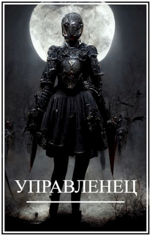 обложка книги Мир Женщин-3. Управленец (СИ) - Брамин Виланов