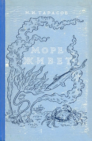 обложка книги Море живёт - Н. Тарасов