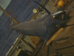 обложка книги Морские средневековые рыцари - Владимир Коркош