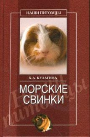 обложка книги Морские свинки - Кристина Кулагина
