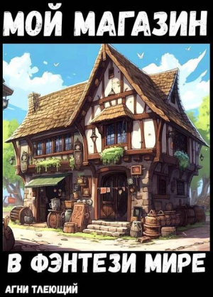 обложка книги Мой магазин с нуля (СИ) - Жаркое Пламя