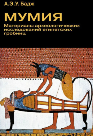 обложка книги Мумия. Материалы археологического исследования - Уоллис Бадж