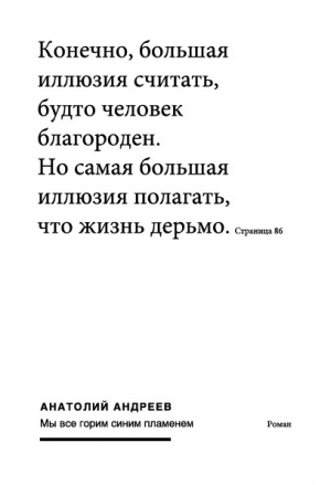 обложка книги Мы все горим синим пламенем - Анатолий Андреев