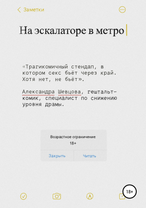 обложка книги На эскалаторе в метро - Александра Шевцова