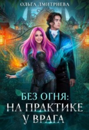 обложка книги На практике у врага (СИ) - Ольга Дмитриева