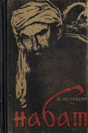 обложка книги Набат. Книга вторая. Агатовый перстень - Михаил Шевердин