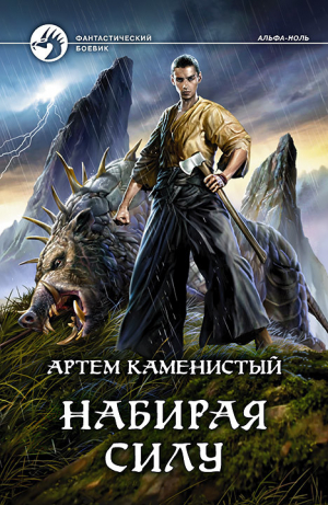 обложка книги Набирая силу - Артем Каменистый