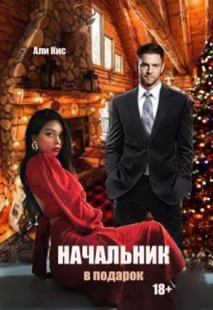 обложка книги Начальник в подарок (СИ) - Али Кис