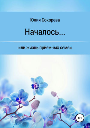 обложка книги Началось, или Жизнь приемных семей - Юлия Сокорева