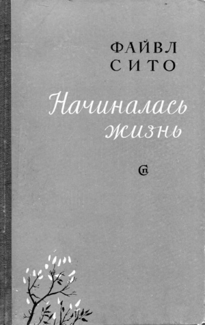 обложка книги Начиналась жизнь - Файвл Сито