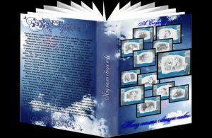 обложка книги Над нами общее небо (СИ) - Анастасия Слугина