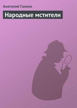 обложка книги Народные мстители - Анатолий Галкин