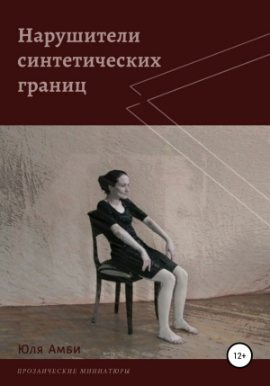 обложка книги Нарушители синтетических границ - Юля Амби