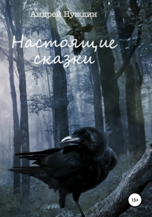 обложка книги Настоящие сказки - Андрей Нуждин