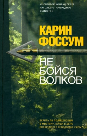 обложка книги Не бойся волков - Карин Фоссум