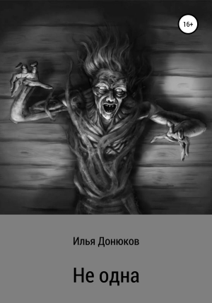 обложка книги Не одна - Илья Донюков