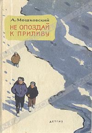 обложка книги Не опоздай к приливу - Анатолий Мошковский