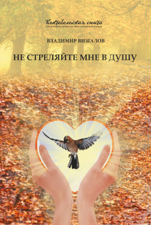 обложка книги Не стреляйте мне в душу - Владимир Визгалов