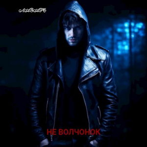 обложка книги Не волчонок (СИ) - Лазарь