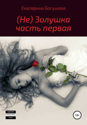 обложка книги Не Золушка - Екатерина Богушева