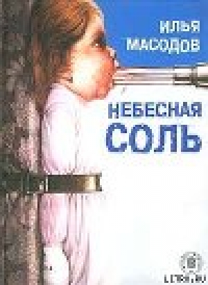 обложка книги Небесная соль (сборник) - Илья Масодов