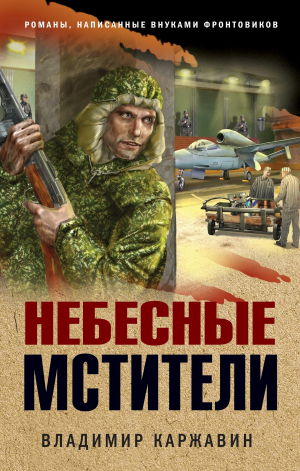 обложка книги Небесные мстители - Владимир Каржавин