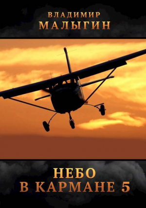 обложка книги Небо в кармане 5 (СИ) - Владимир Малыгин