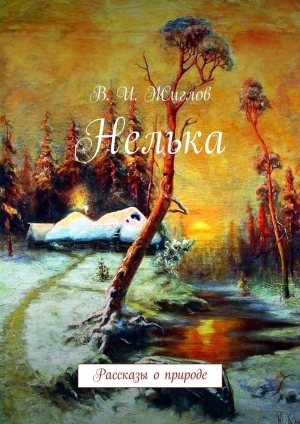 обложка книги Нелька - Валерий Жиглов
