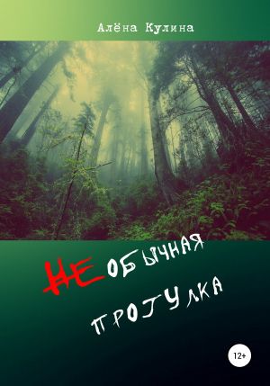 обложка книги НЕобычная прогулка - Алёна Кулина