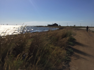 обложка книги Необычные и целительные озера Крыма и причудливо=таинственный Сиваш - Владимир Коркош