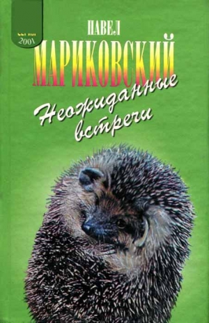 обложка книги Неожиданные встречи - Павел Мариковский