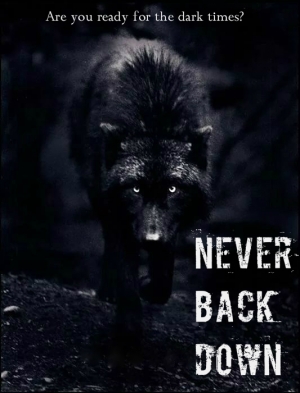 обложка книги Never Back Down (СИ) - Menestrelia