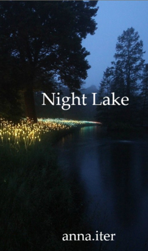 обложка книги Night Lake (СИ) - anna.iter