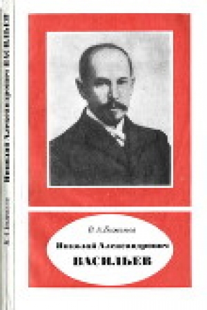 обложка книги Николай Александрович Васильев (1880—1940) - Валентин Бажанов