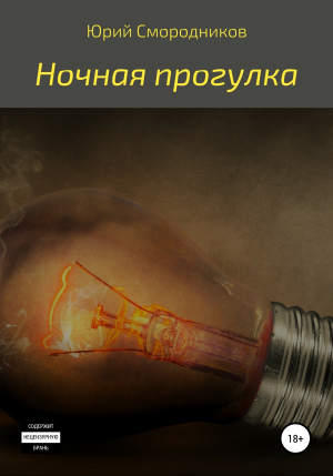 обложка книги Ночная прогулка - Юрий Смородников