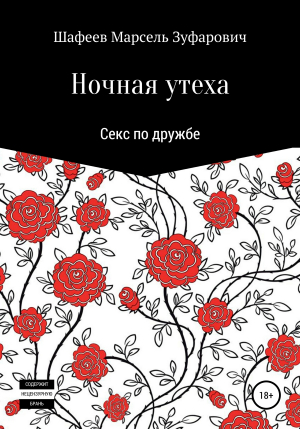 обложка книги Ночная утеха - Марсель Шафеев