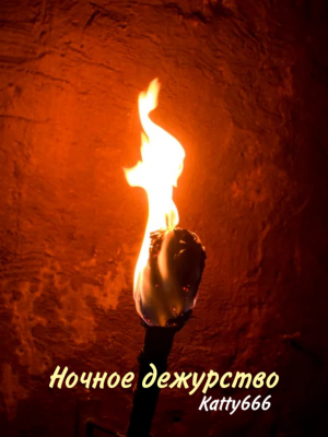 обложка книги Ночное дежурство (СИ) - Katty666