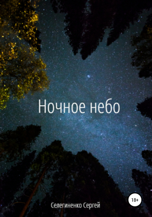 обложка книги Ночное небо - Сергей Селегиненко