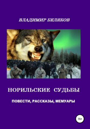обложка книги Норильские судьбы - Владимир Беляков