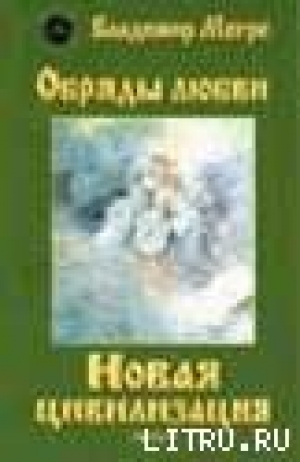 обложка книги Новая цивилизация. Часть 2 - Владимир Мегре