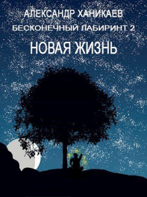 обложка книги Новая жизнь (СИ) - Александр Ханикаев