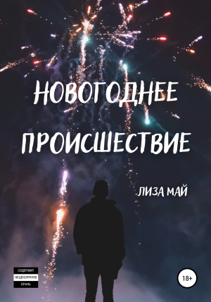 обложка книги Новогоднее происшествие - Лиза Май