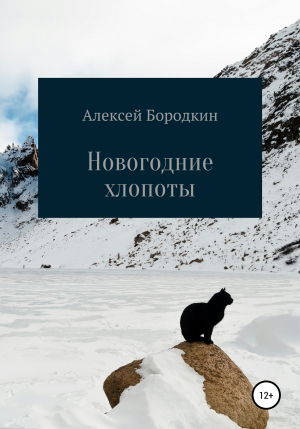 обложка книги Новогодние хлопоты - Алексей Бородкин